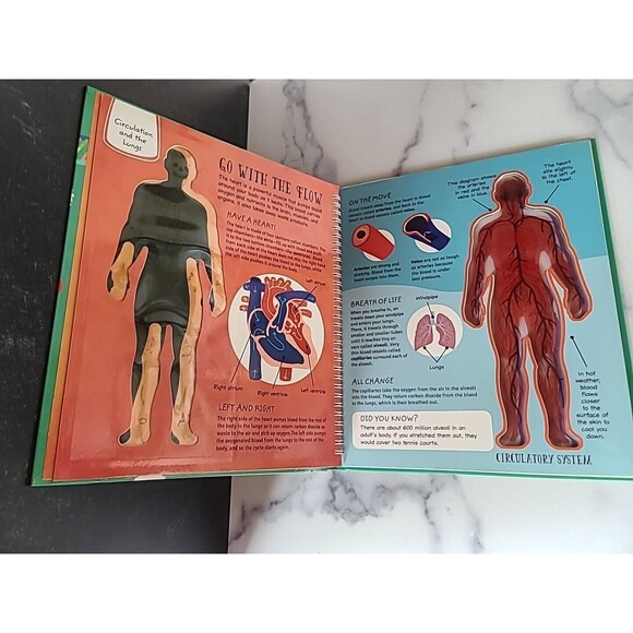 See Inside the Human Body - Hardcover By Hilton, Samantha - GOOD - Picture 3 of 10